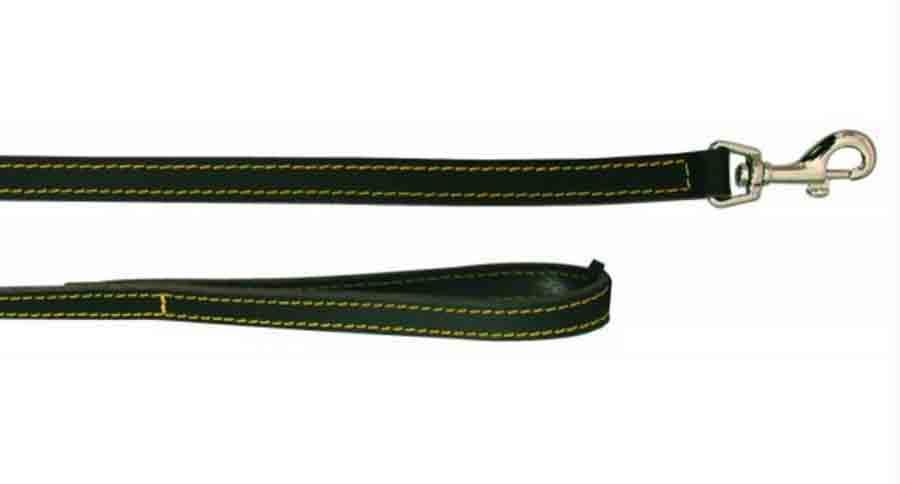 Laisse en cuir noir pour chien